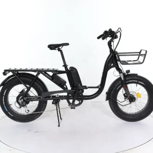 Laatste Kans B2eBike City Cargo