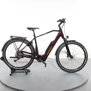 Advanced E-Bike Trekking Plus Alivio 9 Direct Beschikbaar