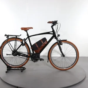 Alleen Vandaag Riese & Müller Cruiser2 vario