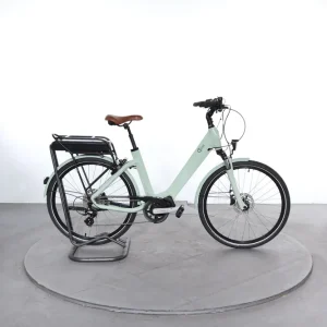 Rechtstreeks Van De Fabrikant O2feel Swan D8
