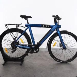 Bird A-Frame Premium