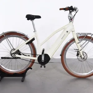 Direct Beschikbaar Advanced E-Bike Urban Pro