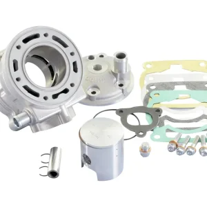 Cilinderkit Polini Evolution P.R.E. 100cc 50mm voor Piaggio Zip SP, Zip 2 SP met Polini Rennmotor Gratis Retour