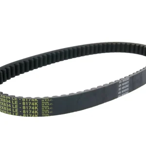 Populair V-snaar Dayco 834-22 Power Plus voor Yamaha Majesty 180cc 03-06