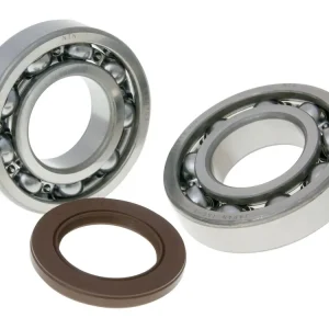 Direct Verzonden Krukaslager Set voor Suzuki Burgman 250-400