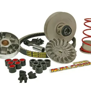Shop Nu Overrange Kit Malossi MHR voor Minarelli lang MA, MY