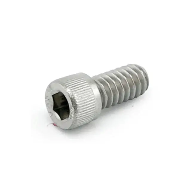 Direct Verzonden Colony inbusbout roestvrij 1/4-28 10-voudig 1"