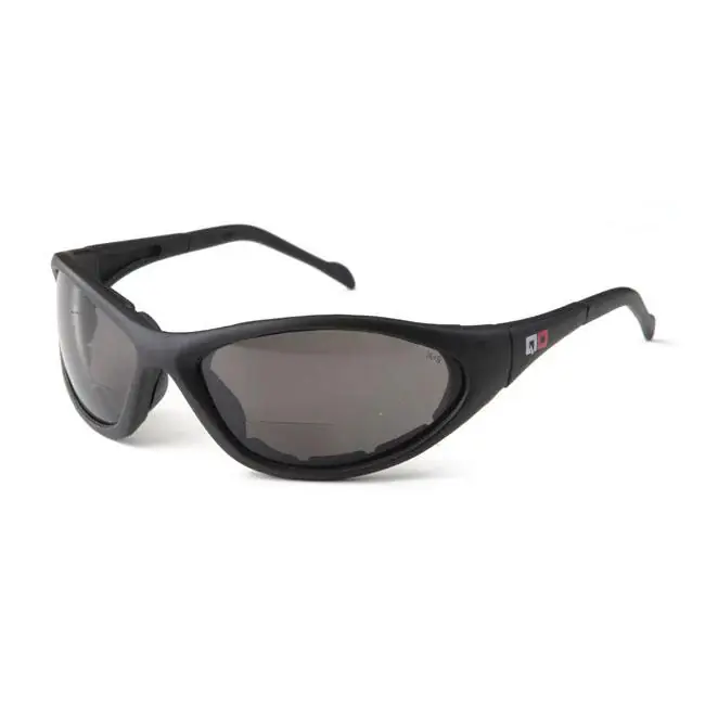 Lage Prijs Anderson Optics Phoenix Bifocale Motorfietsbril Tinted / +1.50