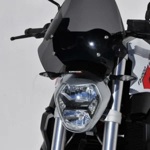 Ermax windscherm BMW R1200R (2015-2018) Tijdelijk Beschikbaar